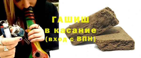 индика Инта