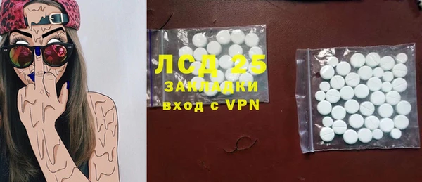 индика Инта
