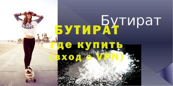 индика Инта