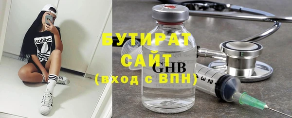 индика Инта