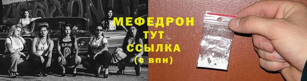 индика Инта