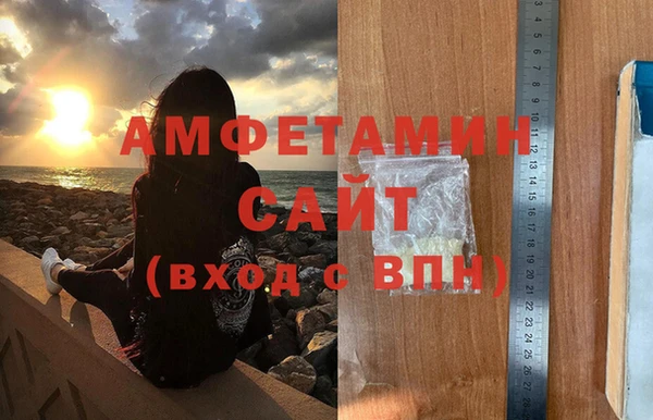 индика Инта