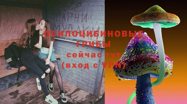 индика Инта