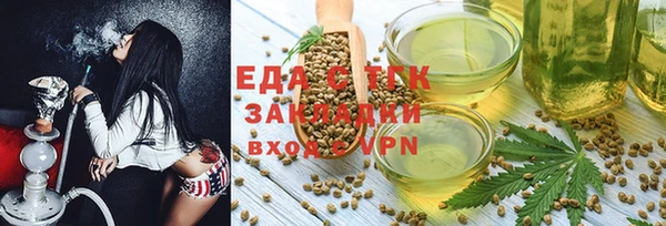 индика Инта