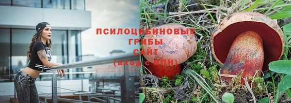 индика Инта