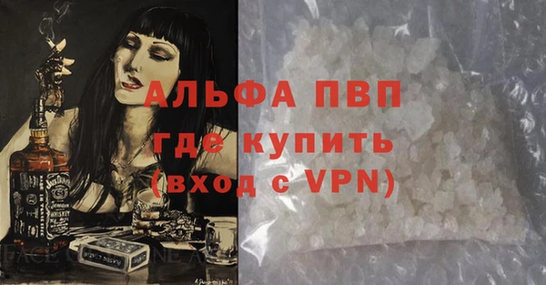 индика Инта