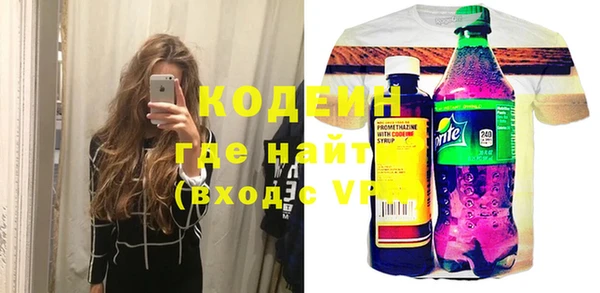 индика Инта
