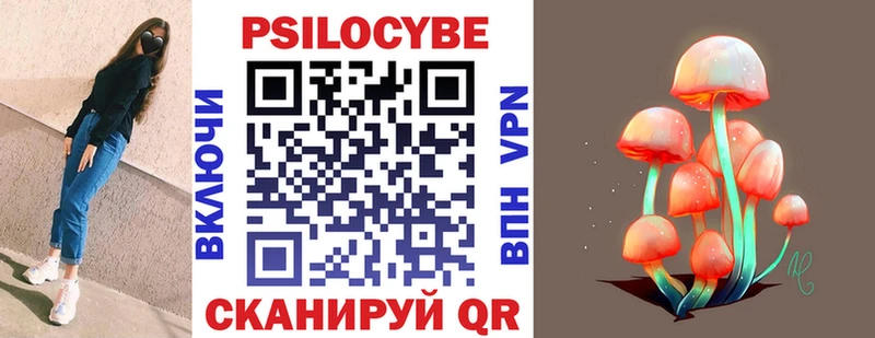где найти наркотики  Уссурийск  Псилоцибиновые грибы Psilocybe 